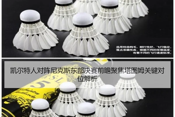 凯尔特人对阵尼克斯东部决赛前瞻聚焦塔图姆关键对位解析